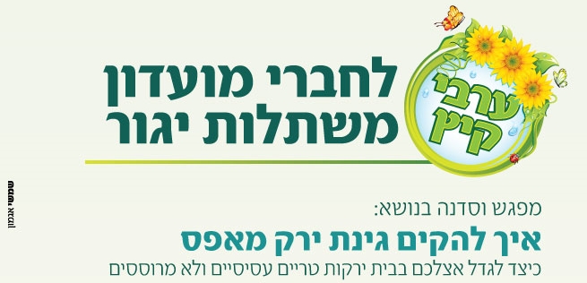 איך להקים גינת ירק מאפס