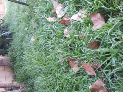 2011-07-01 11.40.46.jpg