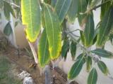 26072011049.jpg
