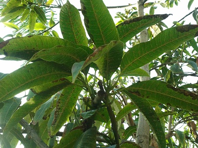 2011-11-13 15.21.10.jpg