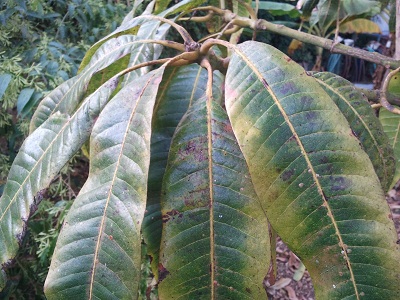 2011-11-13 15.21.35.jpg