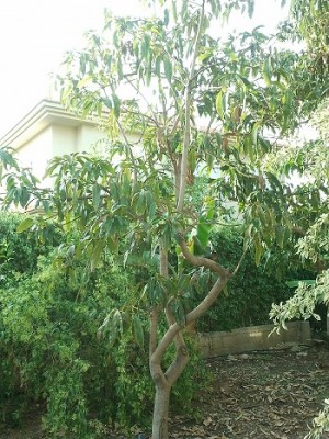 2011-11-13 15.20.39.jpg