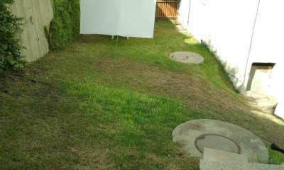 דשא.JPG