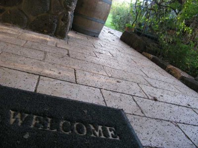 כדרורית1.jpg (70.58 KiB) נצפה 9242 פעמים כדרורית1.jpg