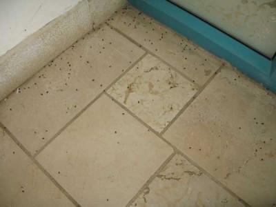 כדרורית3.jpg (37.57 KiB) נצפה 9242 פעמים כדרורית3.jpg