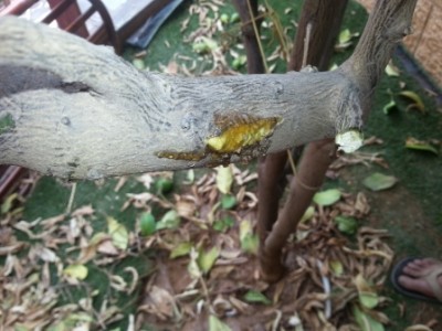20130918_124352.jpg