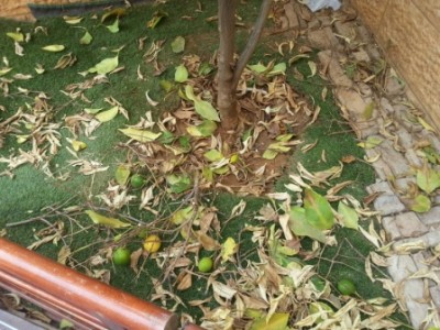 20130918_124524.jpg