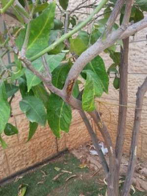 20130918_124800.jpg