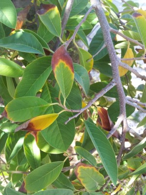 2013-10-24 10.44.07.jpg