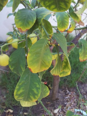 2013-10-24 10.48.00.jpg