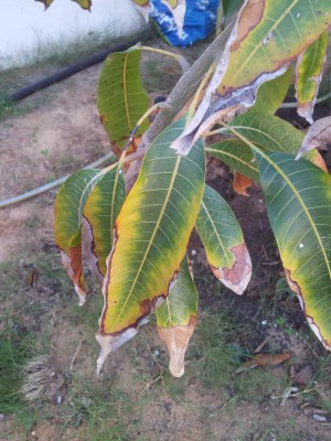 2013-10-24 10.48.23.jpg