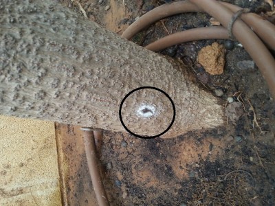 1.jpg (198.58 KiB) נצפה 6727 פעמים 1.jpg