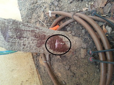 2.jpg (196.59 KiB) נצפה 6727 פעמים 2.jpg