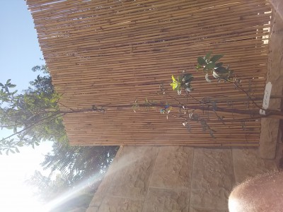 14772969492651325738889.jpg (1.38 MiB) נצפה 7223 פעמים 14772969492651325738889.jpg