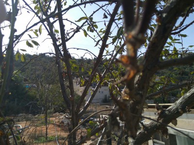 IMG-20161112-WA0005.jpg