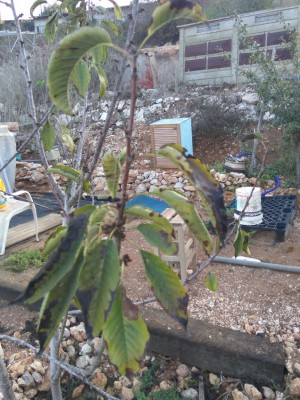 IMG-20161114-WA0001.jpg