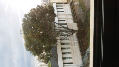 20170214_161550.jpg (1.12 MiB) נצפה 2313 פעמים 20170214_161550.jpg