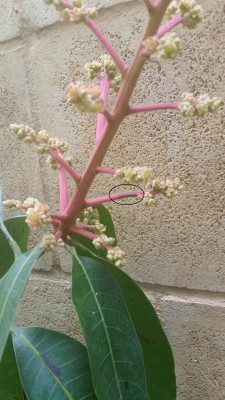 20170421_111921_resized.jpg