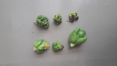 20170429_104921.jpg