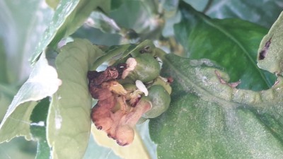 20170429_104724.jpg