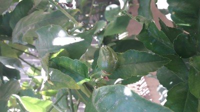 20170429_104524.jpg