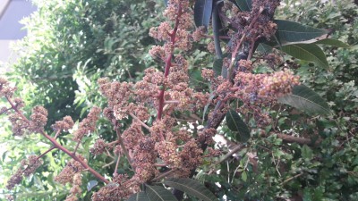 20170429_104745.jpg
