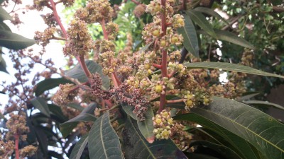 20170429_104749.jpg