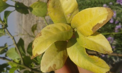 20170503_144333.jpg