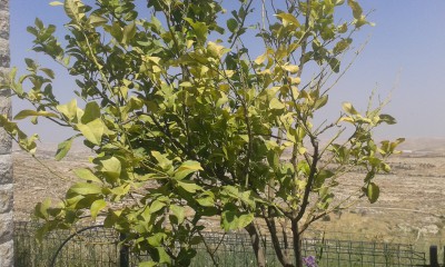 20170503_144312.jpg
