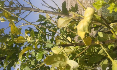 20170503_144429.jpg