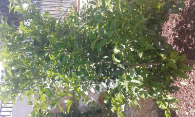 20170503_144505.jpg
