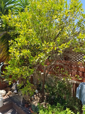 IMG-20180609-WA0004.jpg