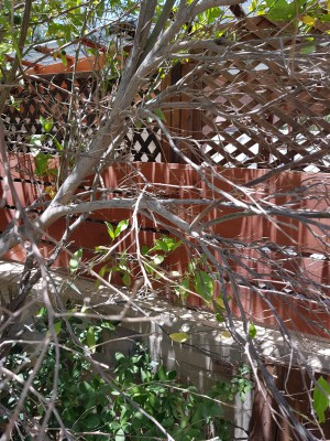 IMG-20180609-WA0005.jpg