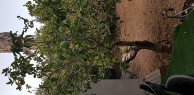 20191001_072046 (389x800).jpg