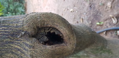 20191001_072057 (389x800) (389x800).jpg