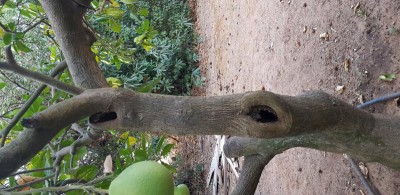 20191001_072100 (389x800).jpg