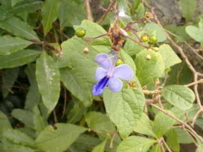 21042010300.JPG (95.6 KiB) נצפה 3966 פעמים 21042010300.JPG