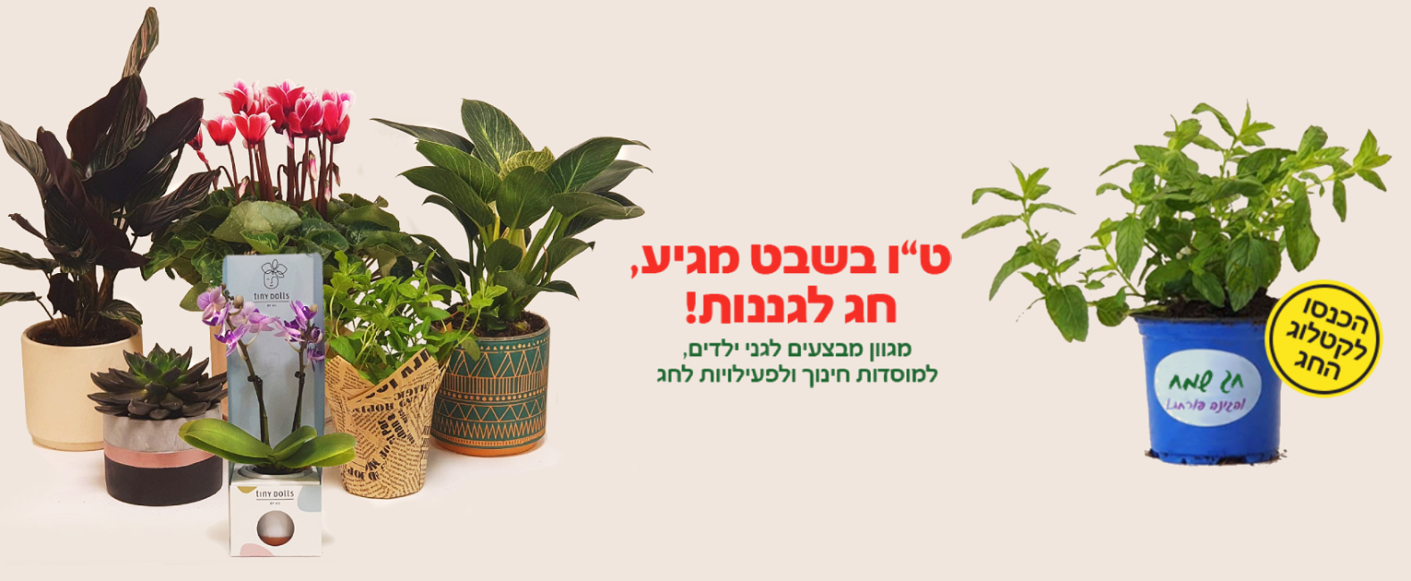 קטלוג טו בשבט