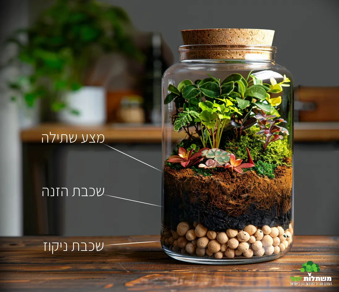 שכבות בטרריום