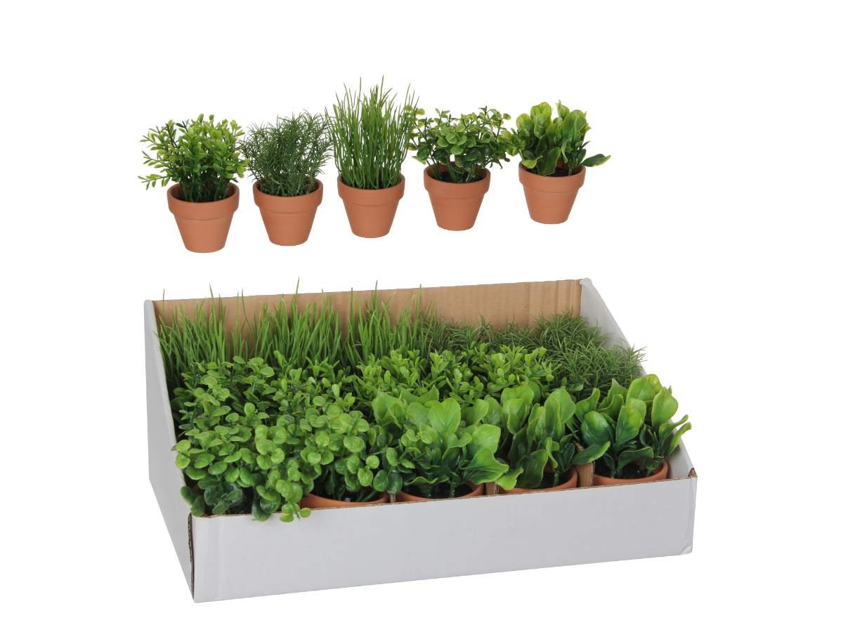 צ.מ- מיני עציץ ירוק בטרקוטה (דיספליי)