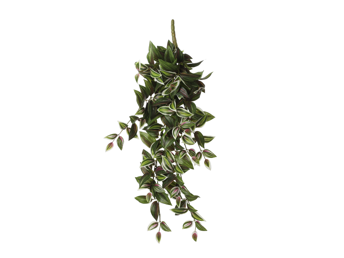 צ.מ- יהודי נודד ירוק נשפך -54 ס"מ