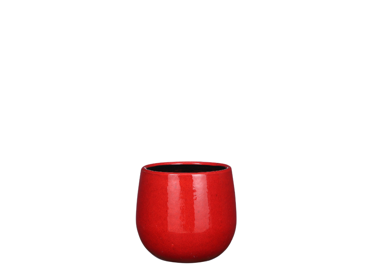 עציץ פאבלו אדום - 14 ס"מ