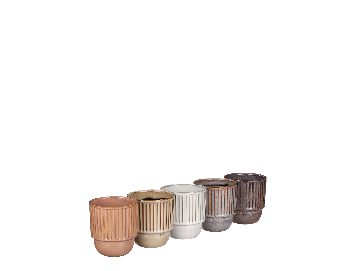 עציץ קארנה צבעים שונים - 13 ס"מ