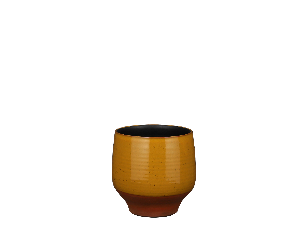 עציץ מיירון בג' - 19 ס"מ