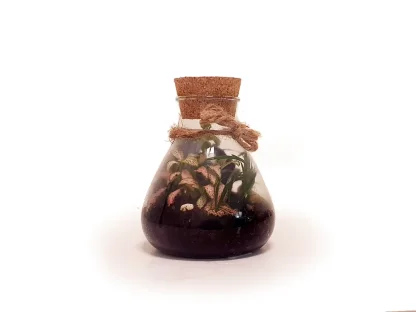 טרריום קטן צנצנת