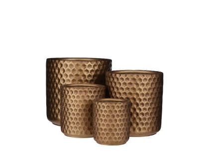 עציץ דני עגול מוזהב 14 ס"מ - 1077480