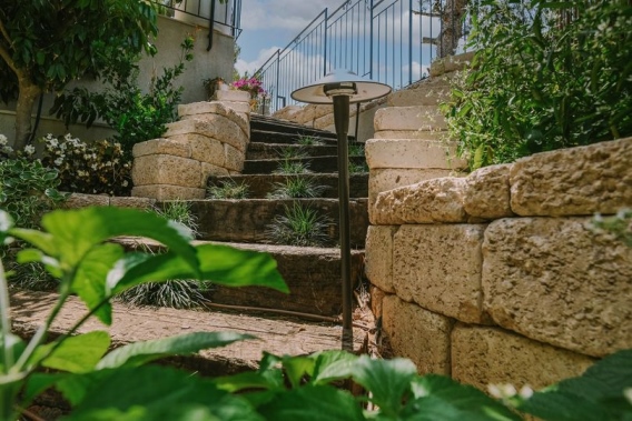 סוף - תכנון וביצוע גינות נוי