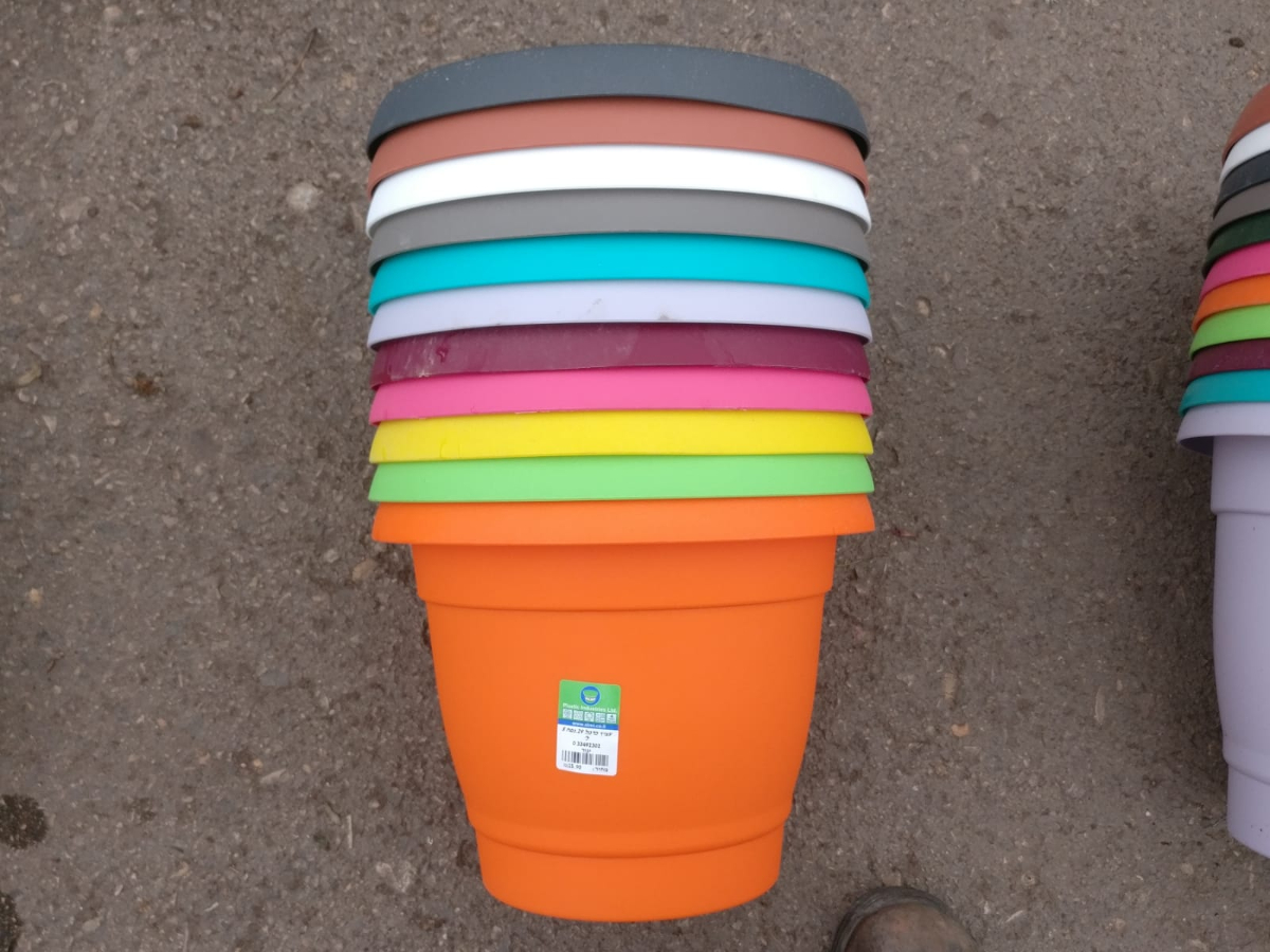 עציץ כרמל 29