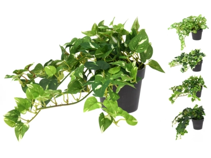 צמחיה מלאכותית תלויים 25 ס"מ