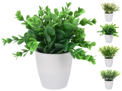 צמח ירוק בעציץ לבן 8 ס"מ - 317002390